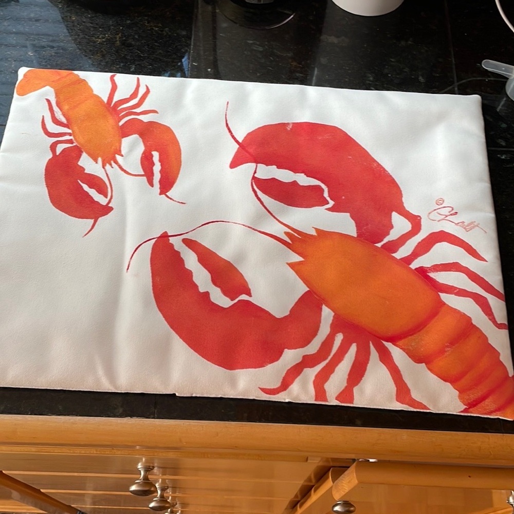 NEW Crabby Chris & Co Indoor/outdoor Pillow Cover